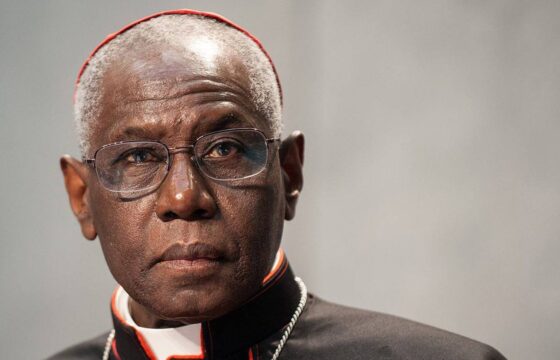 Cardinale Robert Sarah durante la conferenza 'Europa e Africa'