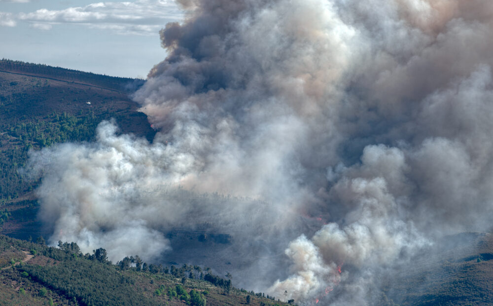 Incendi in Spagna e Francia