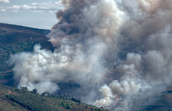 Incendi in Spagna e Francia