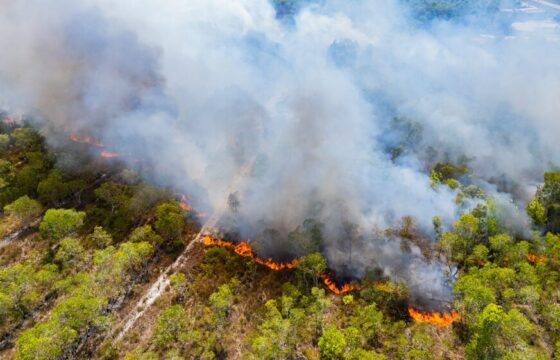 Incendi boschivi in Italia