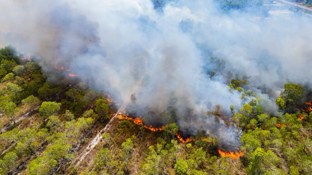 Incendi boschivi in Italia
