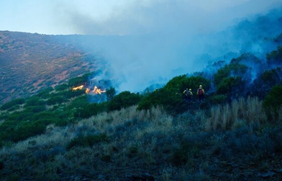 Interventi dei Vigili del Fuoco a Palermo per incendi