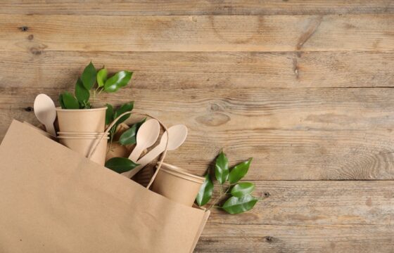 Immagine rappresentativa della collaborazione tra DS Smith e Tiber Pack per un packaging sostenibile