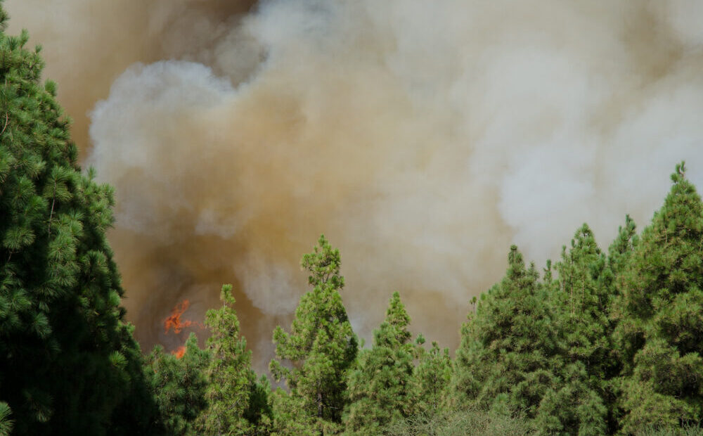 Incendi nella Gironda, Francia