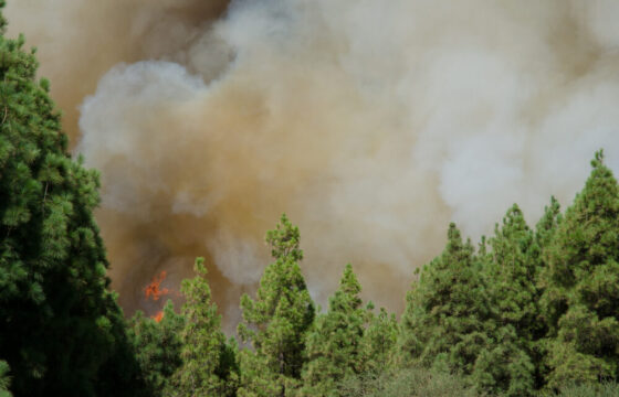 Incendi nella Gironda, Francia