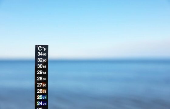 Temperatura superficiale del mare record
