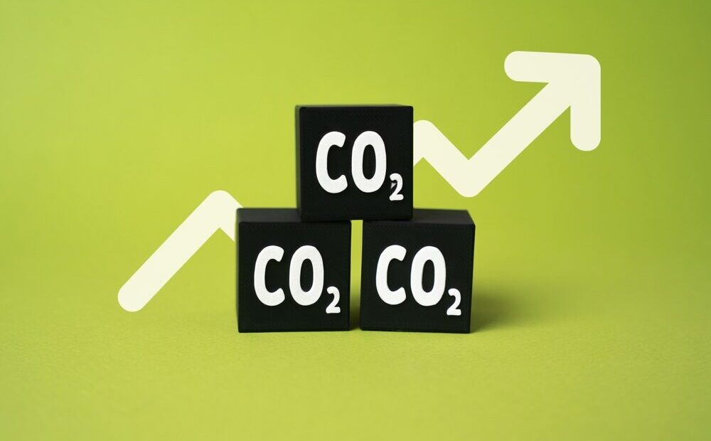 Rappresentazione grafica del mercato delle emissioni di CO2