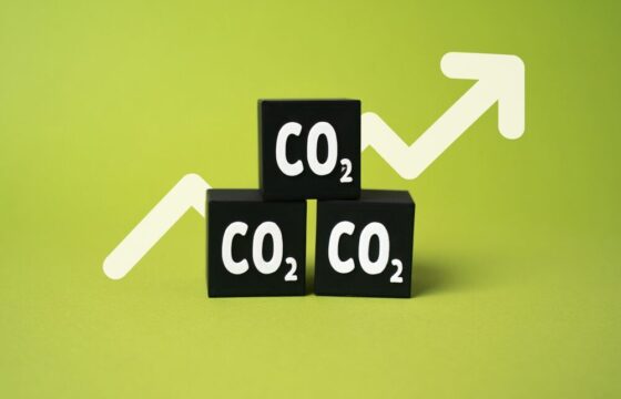 Rappresentazione grafica del mercato delle emissioni di CO2