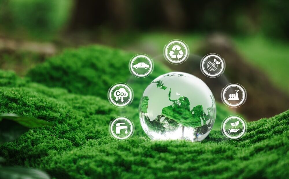 Eco Festival di Roma