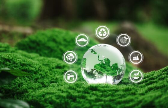 Eco Festival di Roma