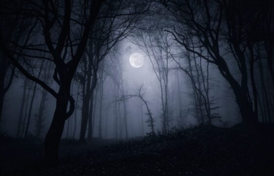 Silent Hill: Townfall - Copertina del Gioco