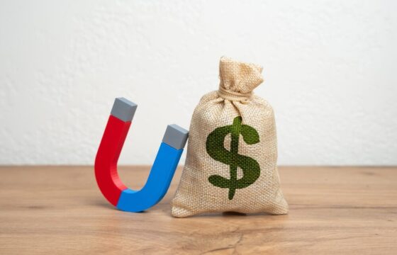 Flessibilità della domanda nel mercato energetico